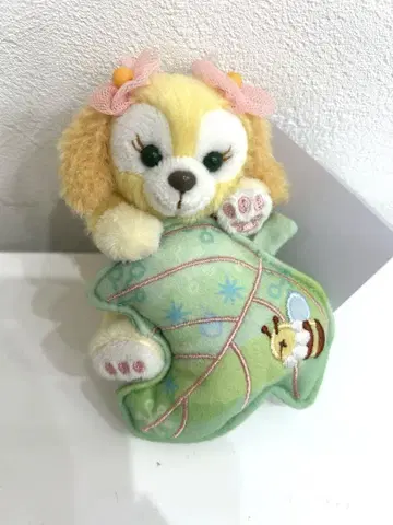 닷피 위싱 봉제 인형 참 쿠키안 새상품 택 포함