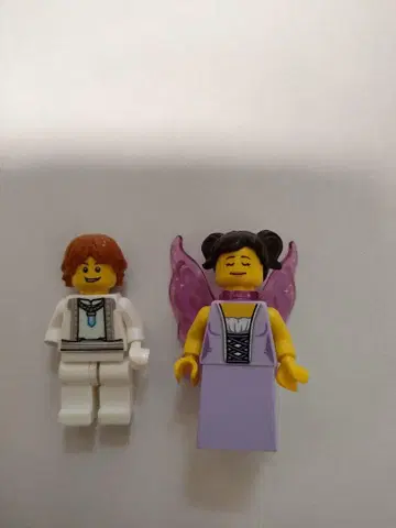 LEGO 미니피규어 남아와 여아 왕자 나비