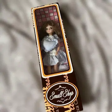 2019년 일본 BASIC 모델 키라짱 V6 L1908-9F