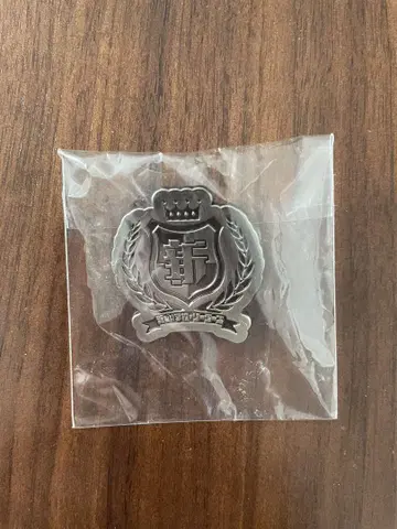 아타라시이 학교의 리더즈 학교 휘장 핑 배치