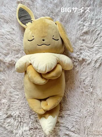 포켓몬 이브이 쿨쿨 프렌드 BIG 봉제 인형 L 사이즈 Zzz