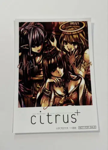 citrus + 사브로 우타 폴라로이드풍 브로마이드 혜택