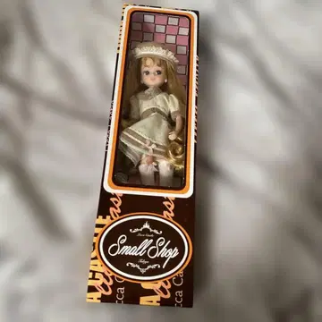 2021년판 일본바시 아이콘 모델 리카짱 12404