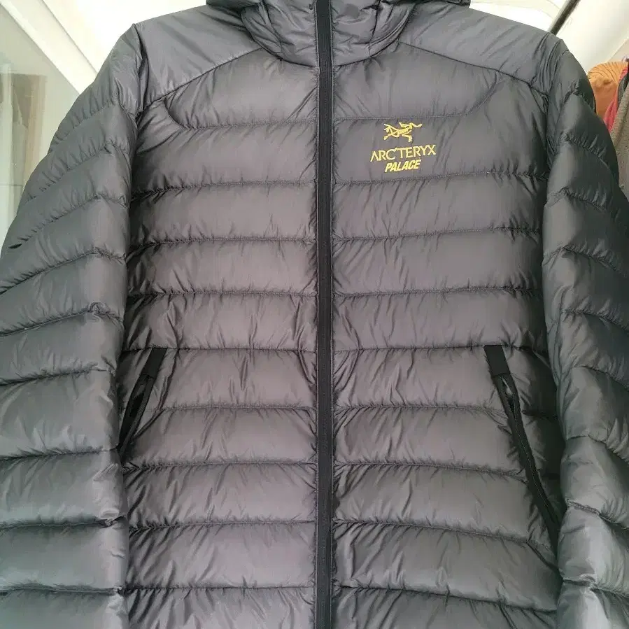 ARC'TERYX | 아크테릭스 (M) Arc'teryx Palace Cerium Hoodie on