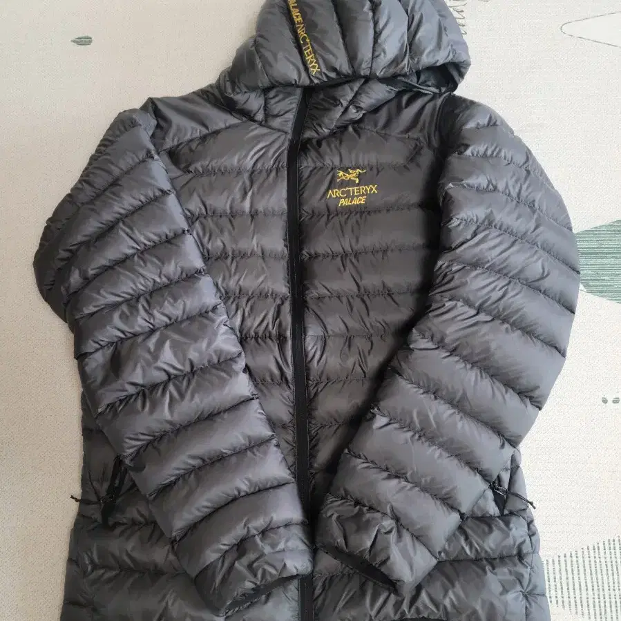 ARC'TERYX | 아크테릭스 (M) Arc'teryx Palace Cerium Hoodie on