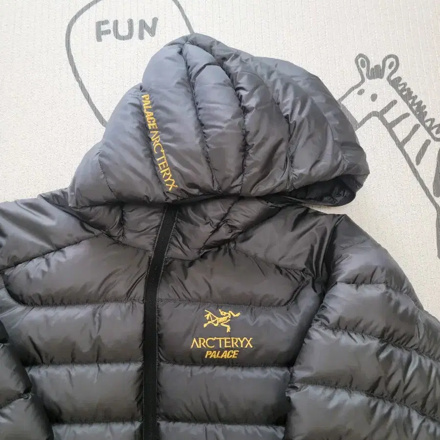 ARC'TERYX | 아크테릭스 (M) Arc'teryx Palace Cerium Hoodie on