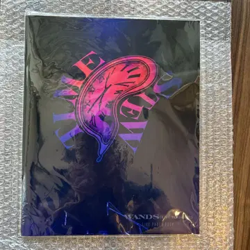 WANDS Live Tour 2025 LIVE PHOTO BOOK
