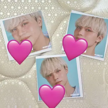 SHOW 정사각형 사진 컴프 세트