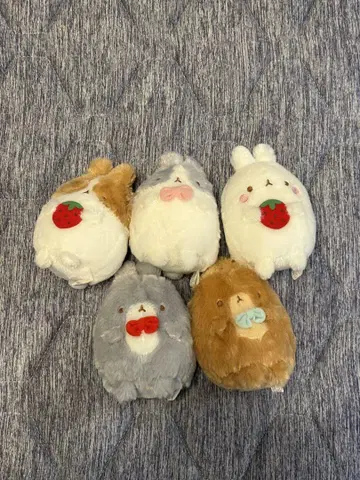 토끼 봉제 인형 5개 세트