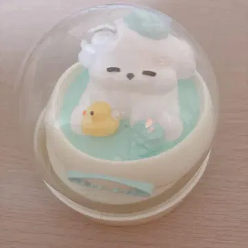 목욕 강아지 스퀴즈 fumifumi