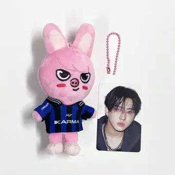 straykids KARMA SKZOO 창빈 봉제 인형 트레이딩 카드