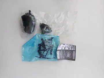 생물대도감 딱정벌레 04 얀손테나가코가네 미개봉 새상품