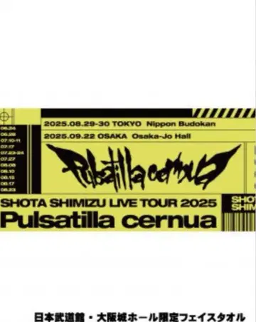 SHOTA SHIMIZU LIVE TOUR 2025 시미즈 쇼타