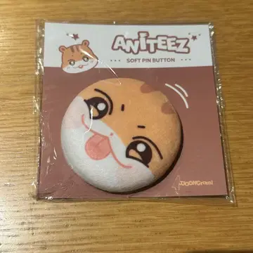 ATEEZ 홍준 ANITEEZ 팝업 캔뱃지