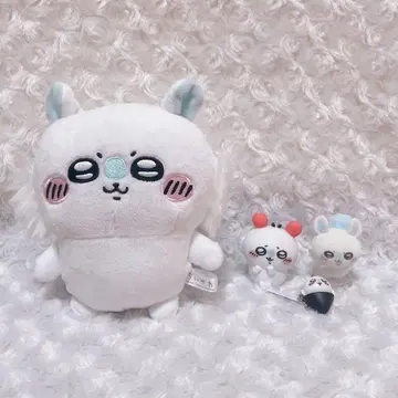 치이카와 모몽가 묶음 판매