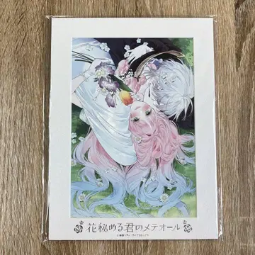 꽃 숨기는 너의 메테오르 페이보릿 포트레이트 D 팝업 꽃메테