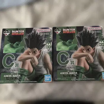 HUNTER x HUNTER C상 MASTERLISE 곤