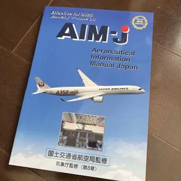AIM-J 2025년 전반기 판