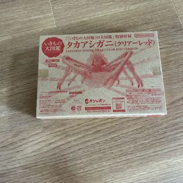 타카아시가니 (클리어 레드) 생물대도감 부록