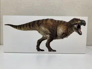 PNSO 공룡 티라노사우루스 1/35 사이즈