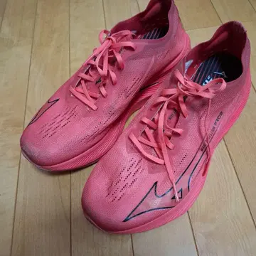 Mizuno Wave Rebellion Pro2 28.0 cm