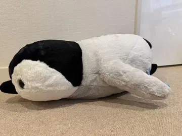 펭귄 아일랜드 수영 울트라 BIG 히나짱 봉제 인형