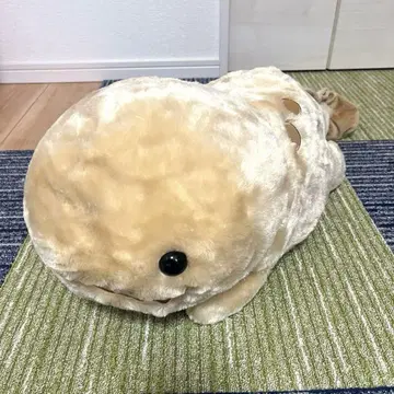 오상쇼산 울트라 BIG 누누