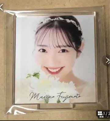 후지TV 아나운서 후지모토 마리노 미니 플레이트