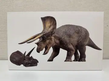 PNSO 공룡 트리케라톱스 1/35 사이즈
