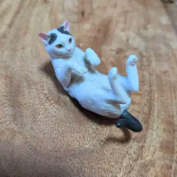 모리구치 슈의 고양이 흰색 검은색 고양이