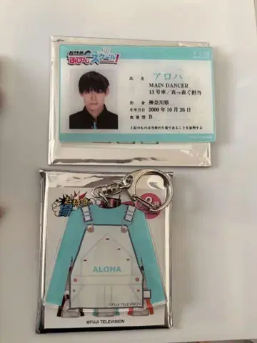 초특급 알로하 묶음 판매