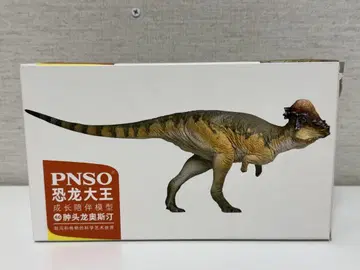 PNSO 공룡 파키케팔로사우루스