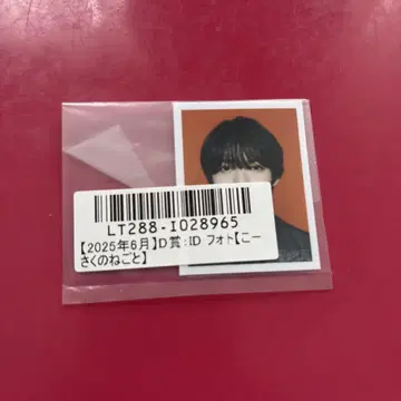 키라리 겐지부 스크래치 원인은 자신에게 있다. ID 사진