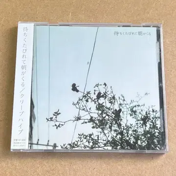 크리프하이프 [마치쿠타비레테 아사가 쿠루] CD 오비 포함 새상품급