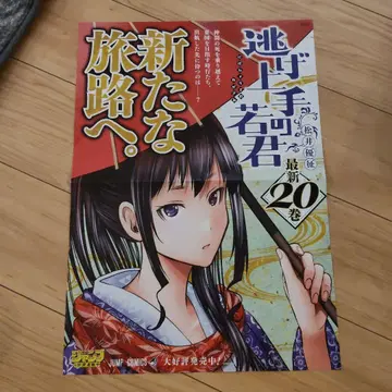 주술회전 20권 B3 포스터
