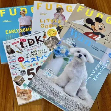 잡지 5권 세트 FUDGE 3권 / Wan / 고양이 DK