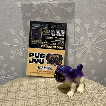 아키퍼그 PUGJYU 퍼그 수 나스