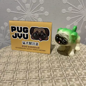 PUGJYU 퍼그 수 PUG 그린