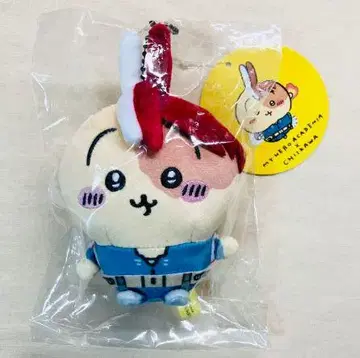 토끼 토도로키 쇼토 히로아카