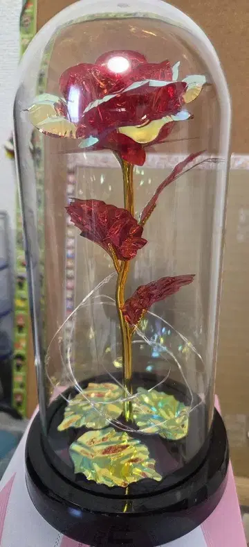 장미꽃