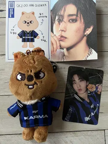 straykids KARMA skzoo vr 한쿼카