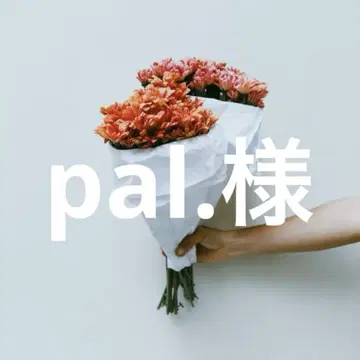 pal 님