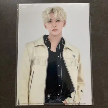 SEVENTEEN 조슈아 HARE 클리어 파일 세트