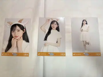 카와사키 사쿠라 곤조 머리띠 3종 컴프 노기자카46 브로마이드