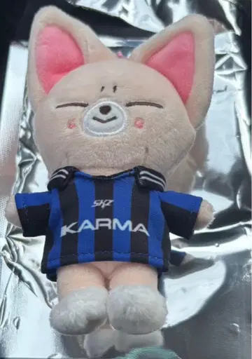 아이엔 karma 키링