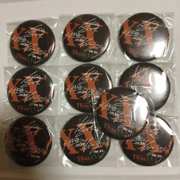 애니서머 캔뱃지 2025 fripSide