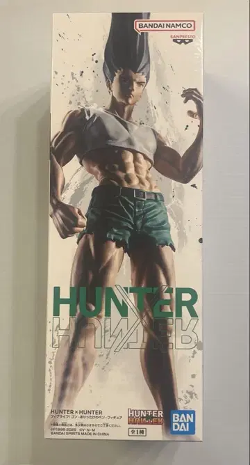 HUNTER x HUNTER 곤 피규어 피그라이프