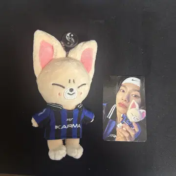straykids KARMA skzoo ver. 아이엔 폭시니