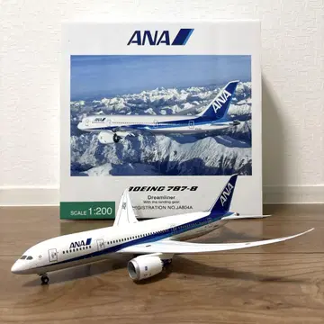 전일본공수 Boeing 787-8
