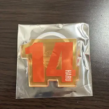 초특급 하루 14 응원봉 액세서리